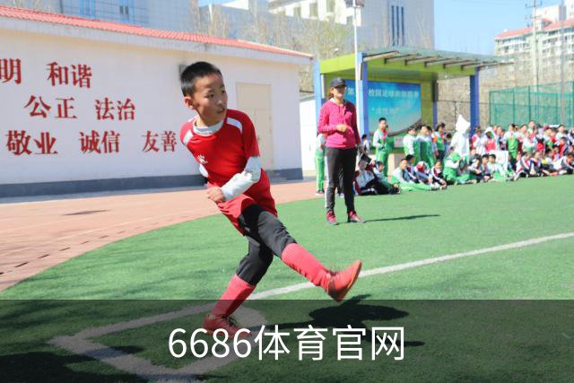 6686体育官网 公司简介