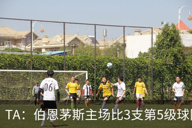 TA：伯恩茅斯主场比3支第5级球队还小，伊劳拉如今的压力远超从前